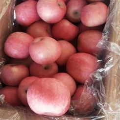 濮阳市批发红富士苹果 新鲜水果 宏远果蔬 专业定制