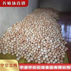 农家生态散养粉白宁仑土鸡蛋 新鲜直发 大量供应